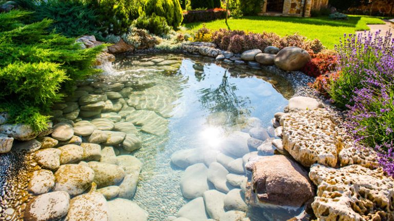 bassin de jardin