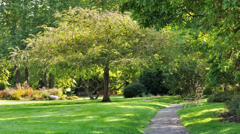 allée de jardin