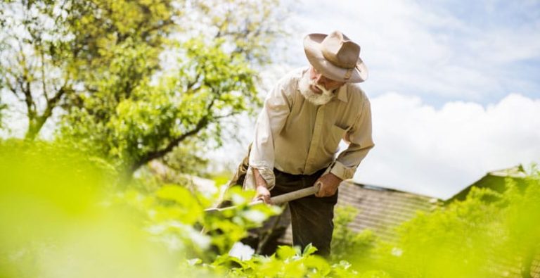 entretien du jardin au printemps