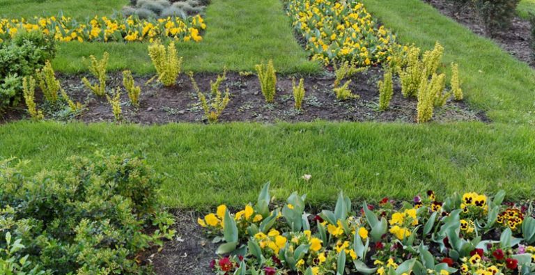 jardin aménagé