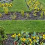 jardin aménagé