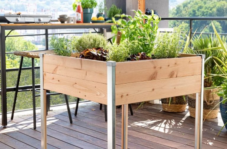 Potager sur un balcon