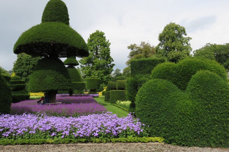 art topiaire jardin