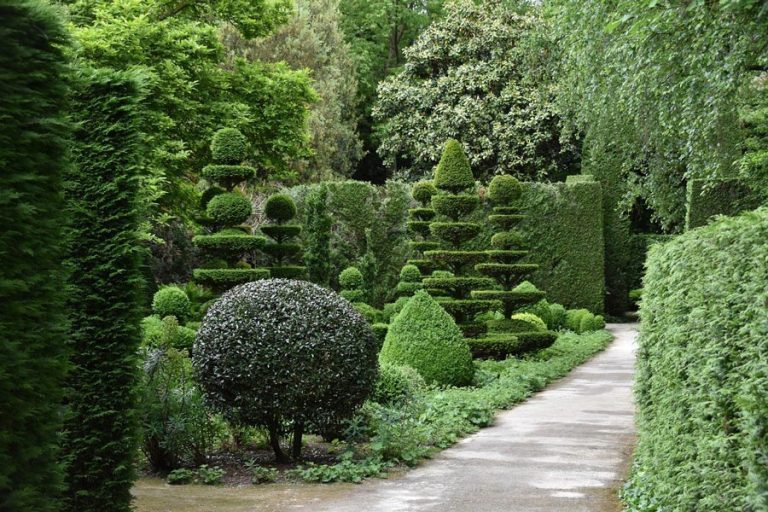 aménagement allée de jardin