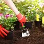 Jardinage planter fleurs