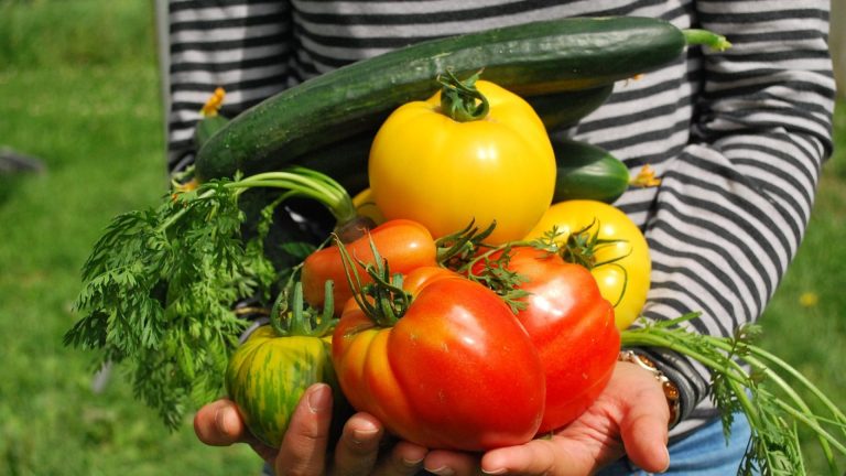Des conseils pertinents et précieux pour avoir un jardin naturel