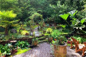 Jardin aménagé avec banc, hamac, pot de fleurs et beaucoup de plantes verte