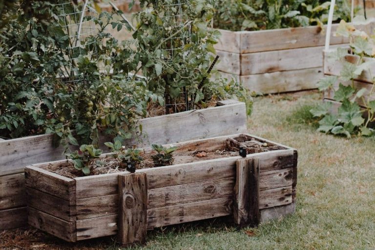 bacs de jardinage
