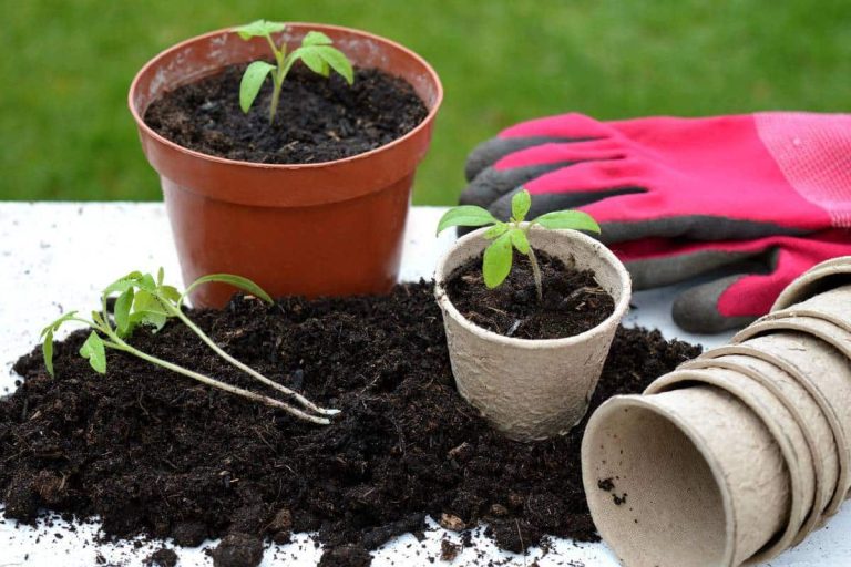 gants de jardinage pour femme rose