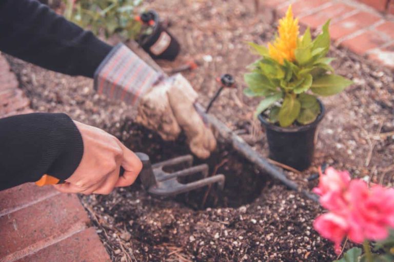 jardinier utilisant griffe de jardinage