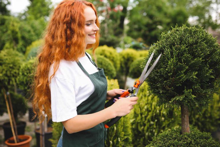 bien aménager son jardin