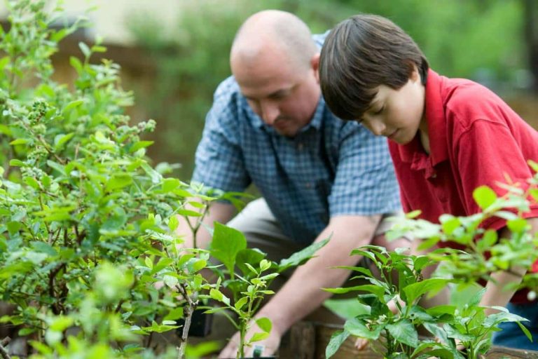 jardiniers à genoux équipés de genouillères