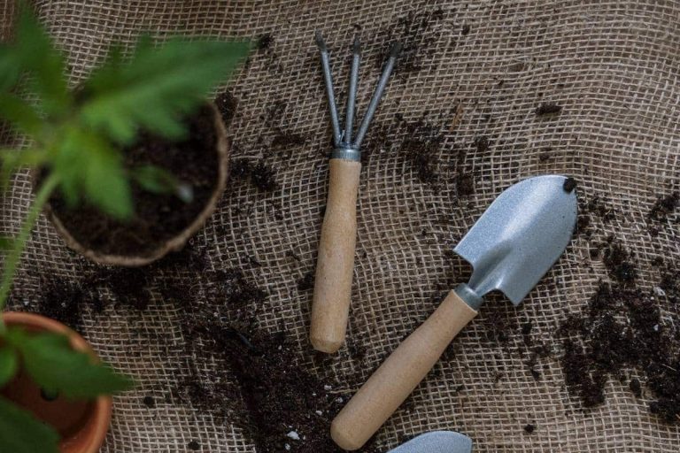 outils de jardinage