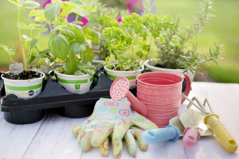 outils de jardinage