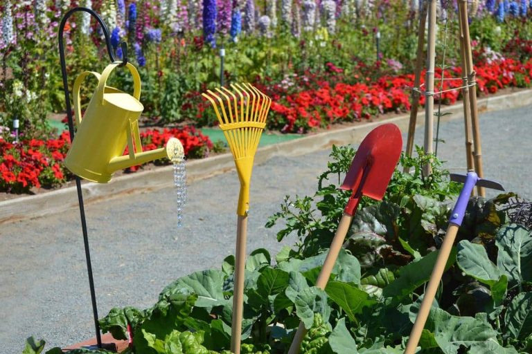 outils de jardinage dont racloir