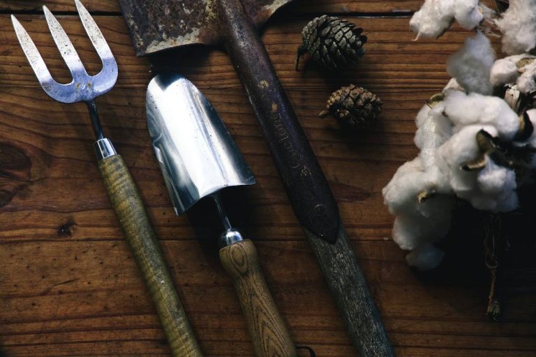 outils de jardinage dont pelle
