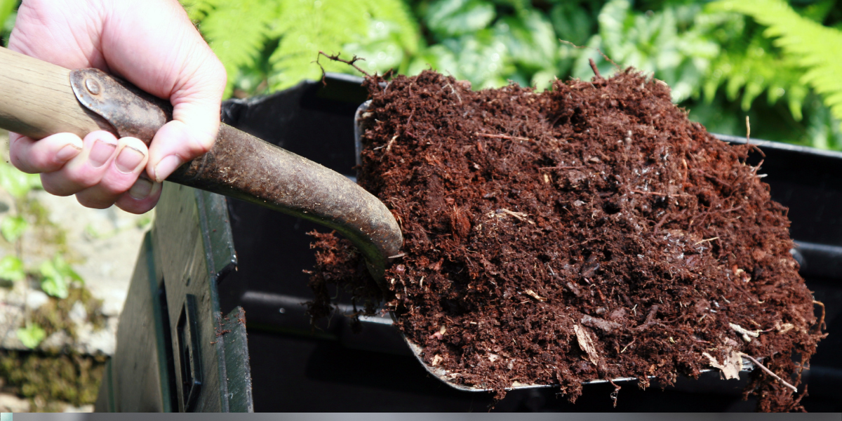 compost hortensia