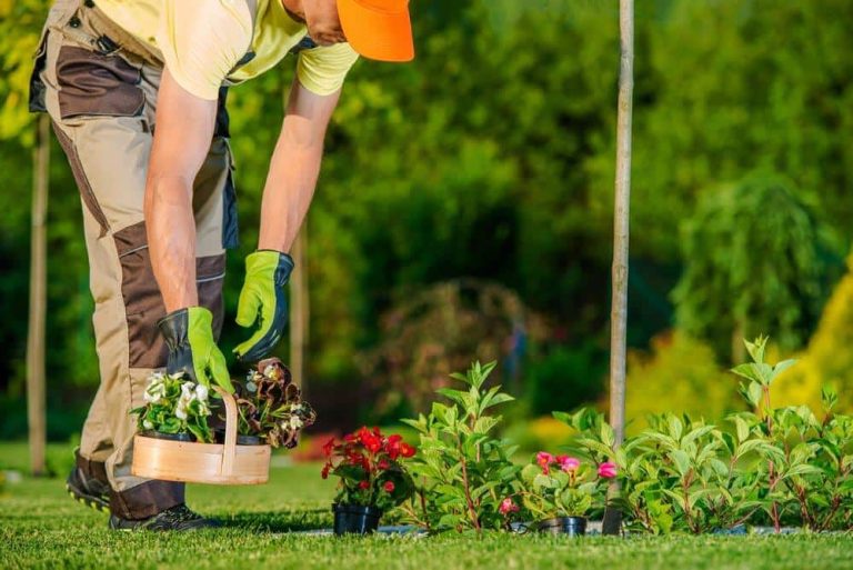 concevoir un jardin 