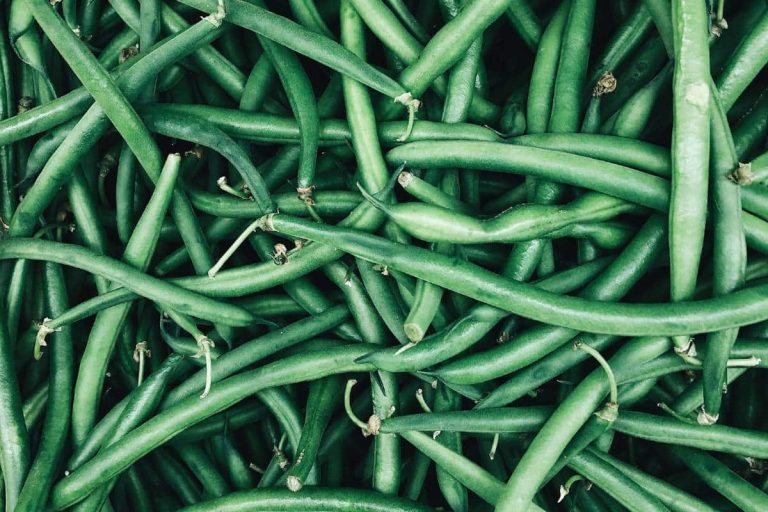 haricots verts