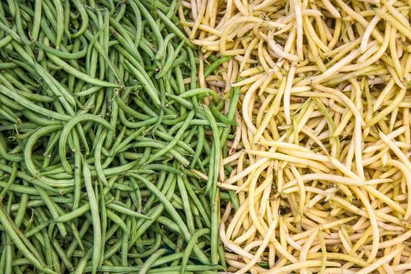 haricots verts haricots beurre