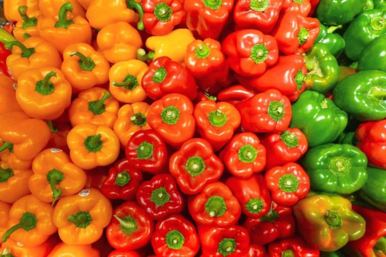 poivrons de couleurs différentes