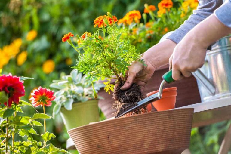 matérie aménager son jardin