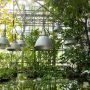 lampes dans une serre avec plantes tropicales