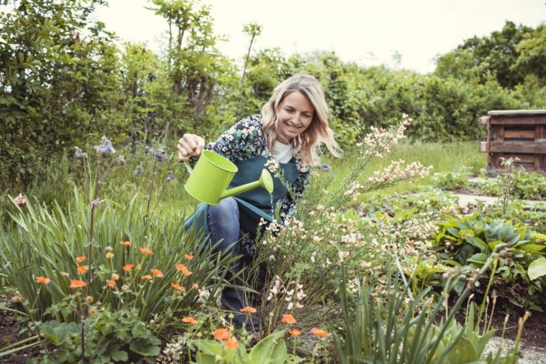 printemps nettoie retour jardin on.jpg