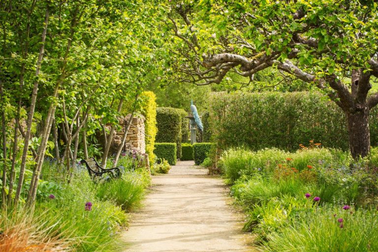 allée de jardin entretenue