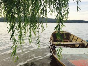 saule pleureur avec lac et barque en arrière plan