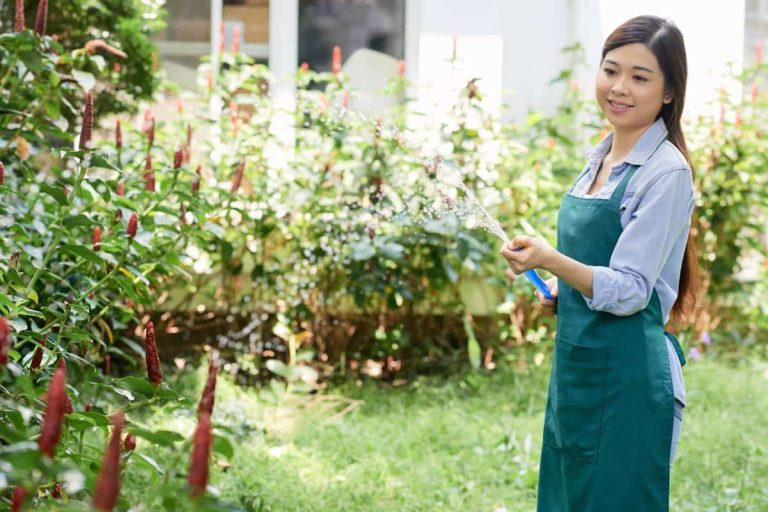 femme qui arrose des plantes