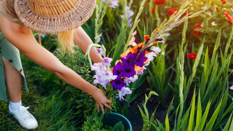 embellir-son-jardin