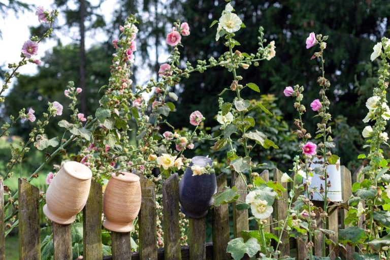 barriere avec pots en argile