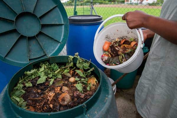 femme vidant seau dechets au compost