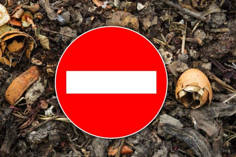 interdit au compost