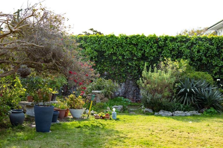jardin buisson