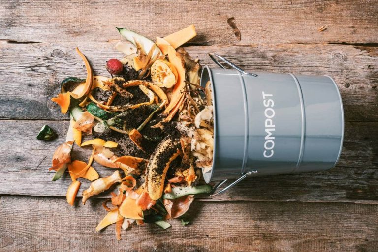 secret de compost seau avec compost