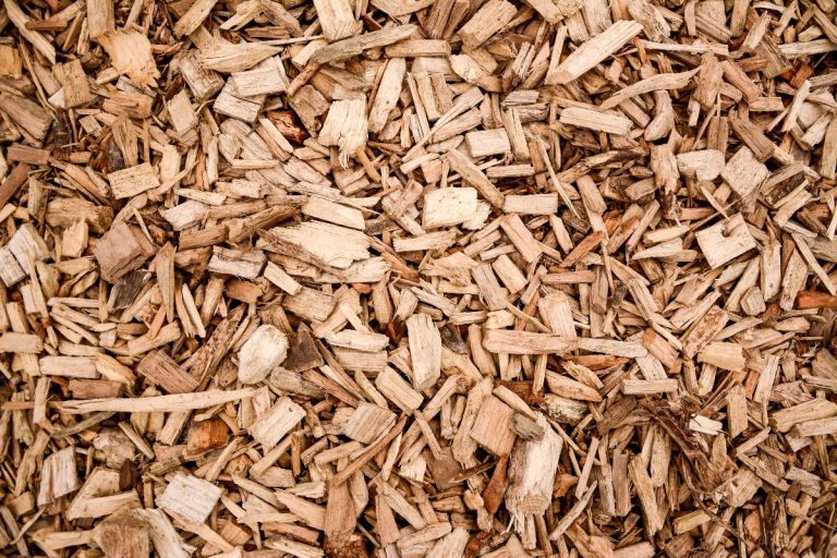 bois fragmenté