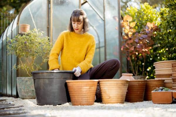 femme plantant des plantes en pot