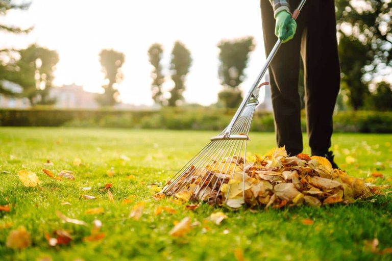 jardinage d'automne