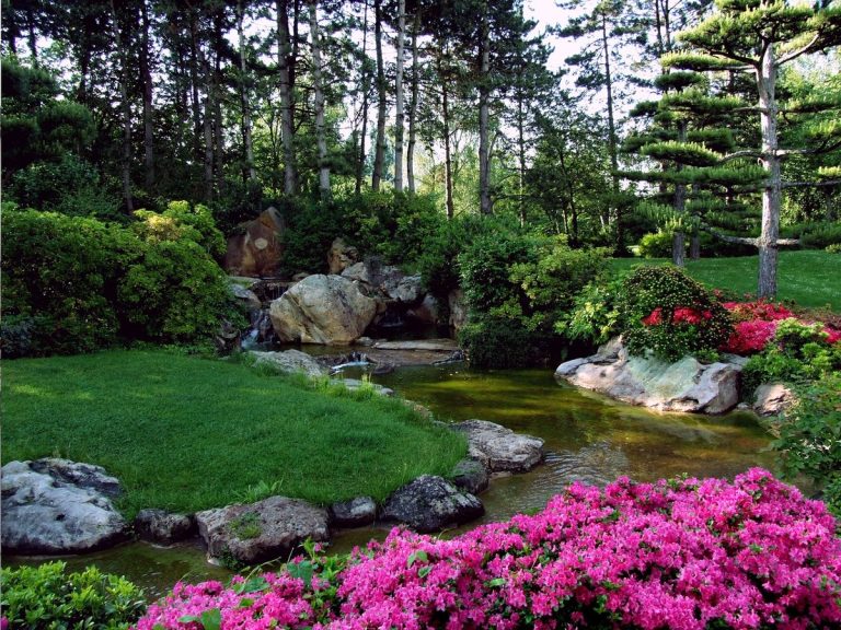 jardins japonais