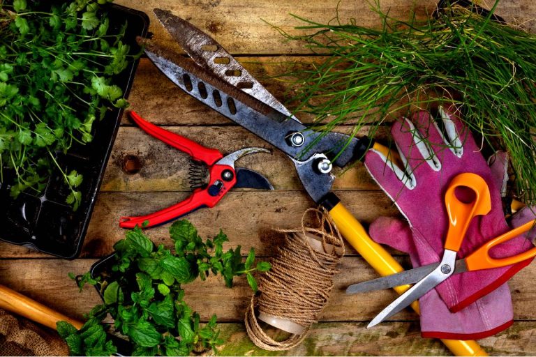 outils de jardinage