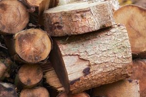 bois de chauffage pour cheminée ou poêle à bois