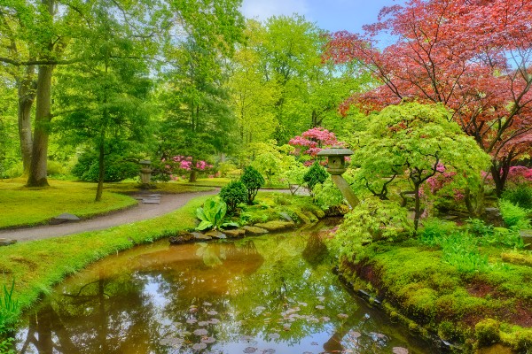 un jardin japonais
