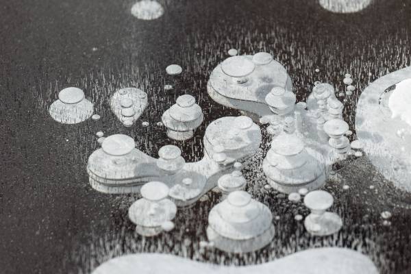 bulles dair gele dans mare
