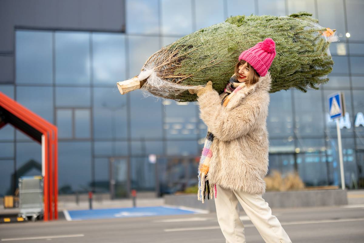 que faire de son sapin