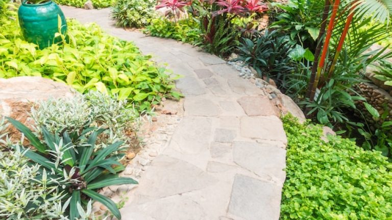 Matériel de jardinage pour l’aménagement paysager : comment créer un jardin de rêve ?