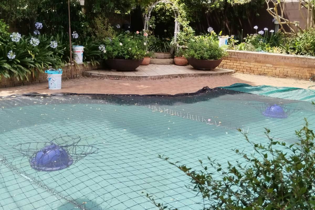 piscine jardin