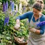 découvrez comment réussir la bouture de delphinium (pied-d'alouette) avec nos méthodes simples et conseils pratiques pour un jardin coloré et fleuri.