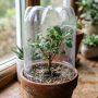 apprenez à faire une bouture de pittosporum facilement avec nos conseils pratiques et étape par étape pour réussir votre plante.